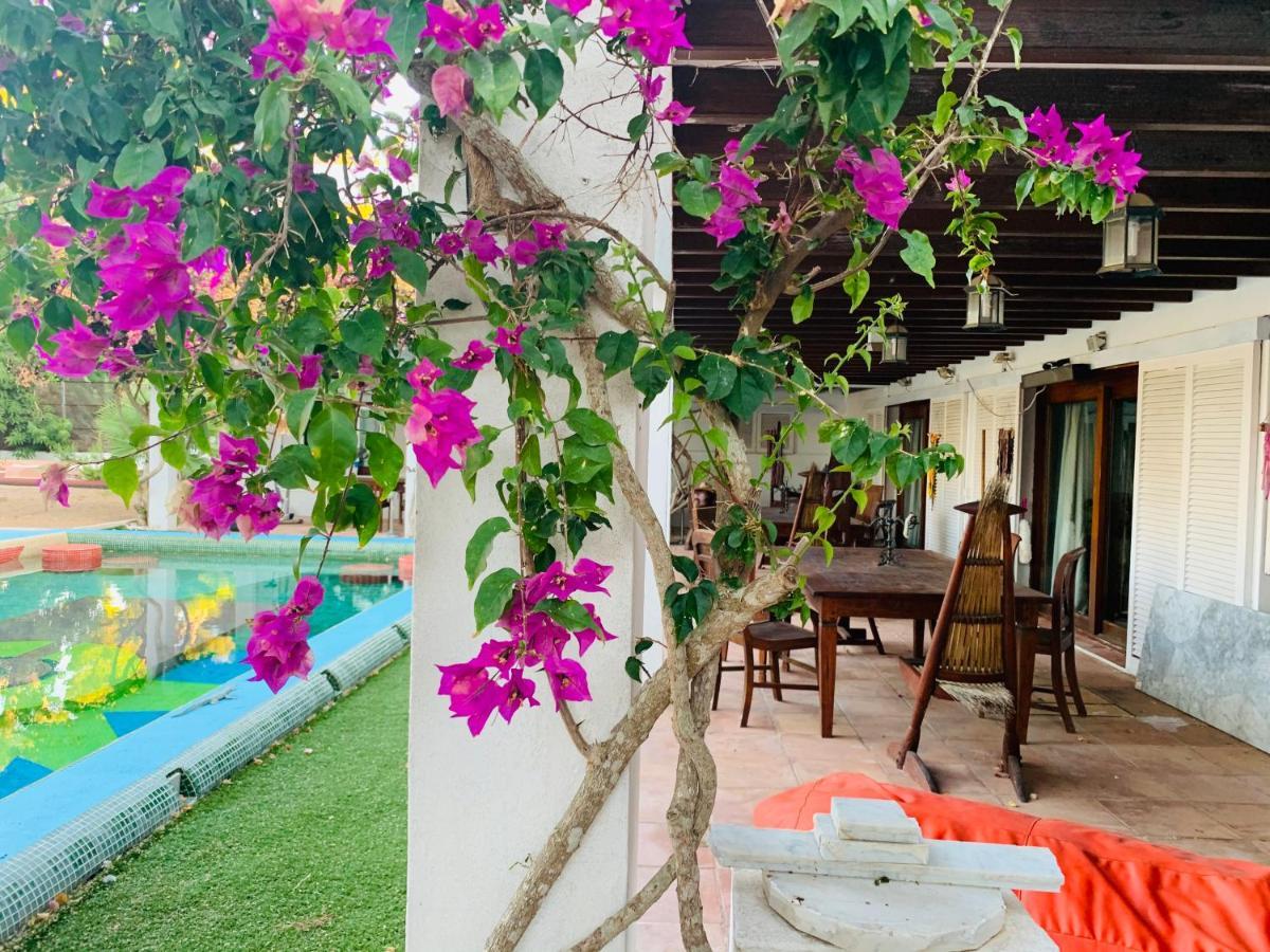 Ibiza Paradise Bed and Breakfast Santa Eularia des Riu Buitenkant foto
